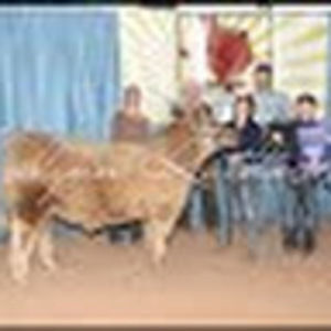 Meet your Posher, Addison